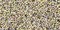 Toho Demi Round 11/0 Seed Bead, Gold-Lined Rainbow Crystal, TN-11-994